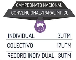 campeonato nacional